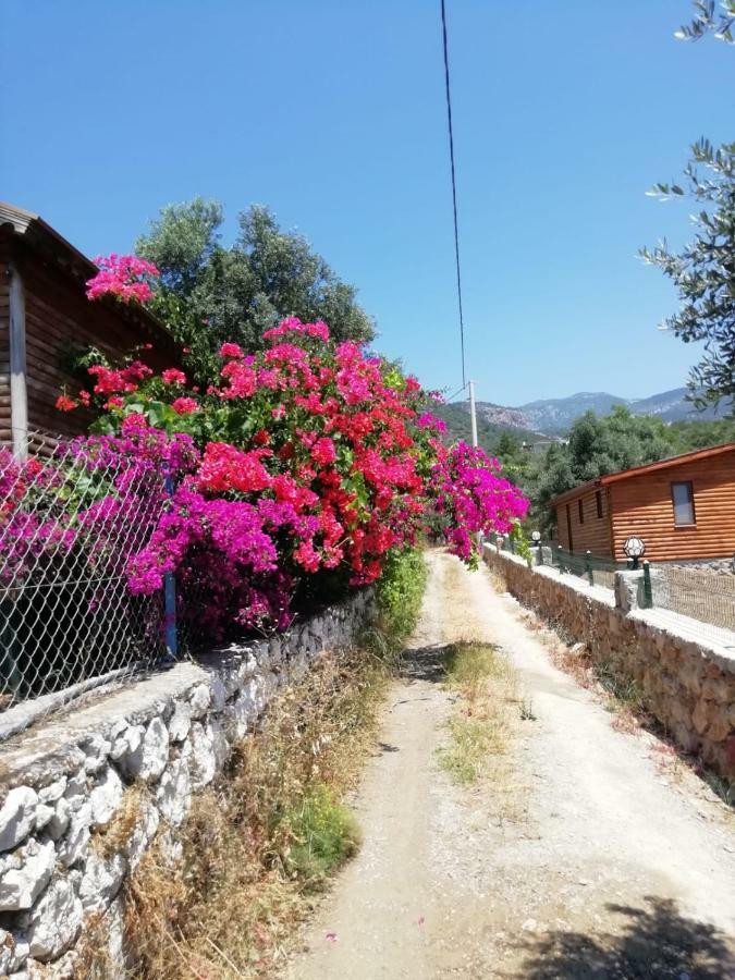 Bahar Bahce Datca Ξενοδοχείο Mesudiye  Εξωτερικό φωτογραφία